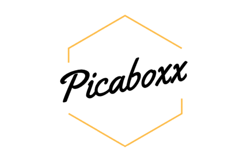 Picaboxx Logo